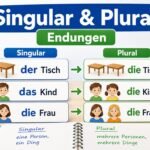 Singular und Plural Endungen auf Lernkarten