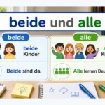 beide und alle einfach erklärt