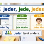 jeder, jede, jedes einfach erklärt